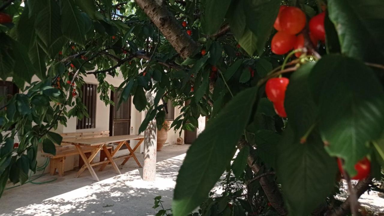 Villatzer - Traditional House With Fireplace And Garden Dzermiádo Kültér fotó